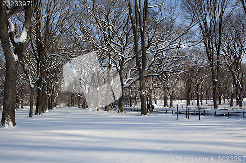 Image of Central Park, New York. Beautiful park in beautiful city. 