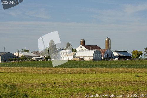 Image of The Farmland