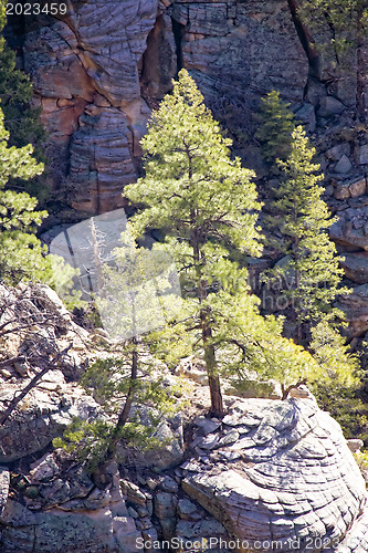 Image of Mountains of Arizona