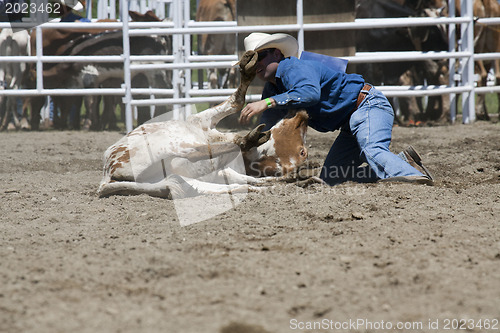 Image of Rodeo