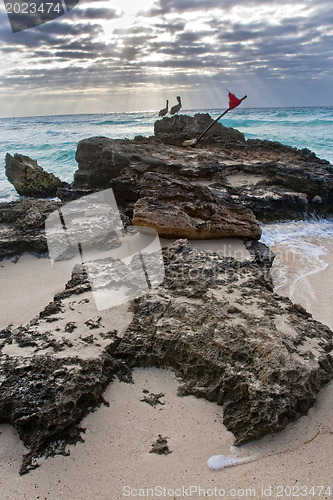 Image of xWaves on beautiful golden beach