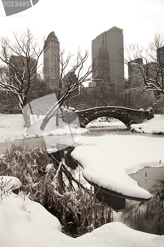 Image of Central Park, New York. Beautiful park in beautiful city. 