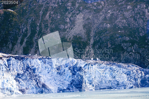 Image of Alaska's Glacier Bay