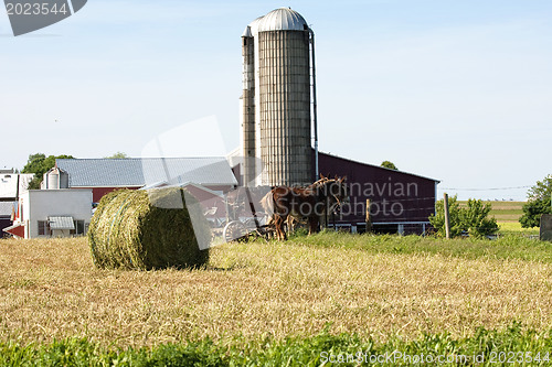 Image of The Roll of Straw