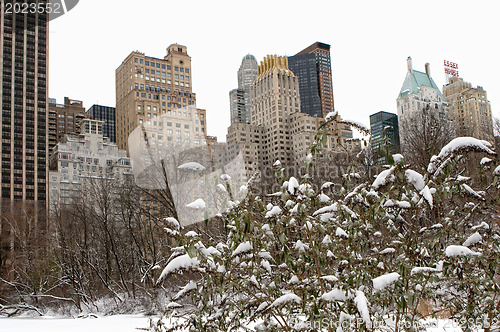 Image of White winter in Manhattan. 