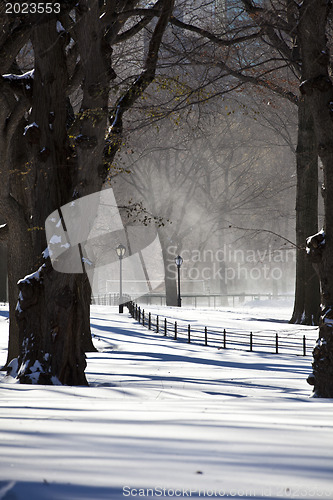 Image of Central Park, New York. Beautiful park in beautiful city. 