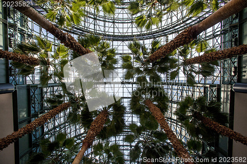 Image of World Financial Center Winter Garden Atrium - Manhattan, New Yor