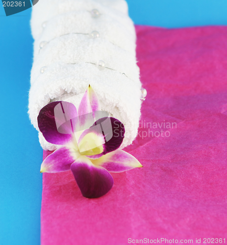 Image of Orchid and white towel
