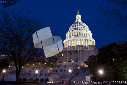 Image of The United States Capitol at night 