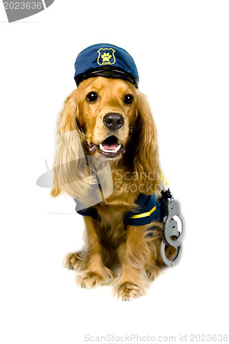 Image of Police dog