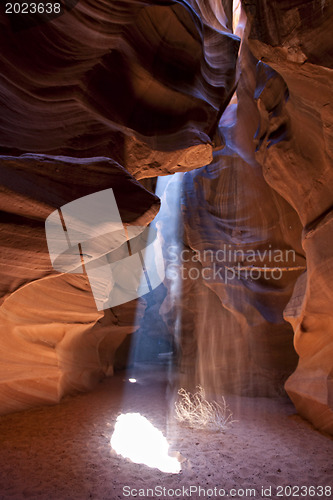 Image of Scenic canyon Antelope