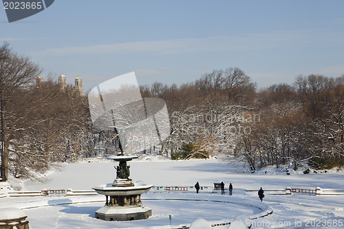 Image of Central Park, New York. Beautiful park in beautiful city. 