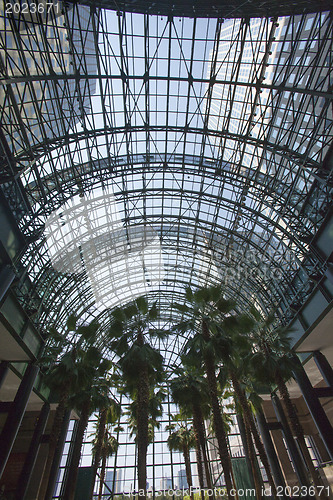 Image of World Financial Center Winter Garden Atrium - Manhattan, New Yor