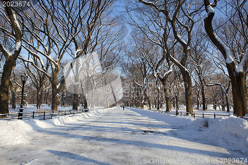 Image of Central Park, New York. Beautiful park in beautiful city. 