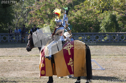 Image of Medieval Knight 