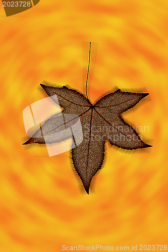 Image of Red leaf structure