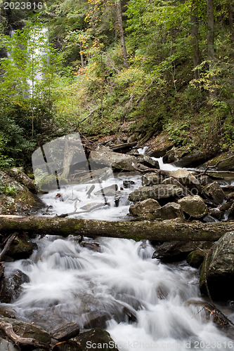 Image of Forest waterfall in Helen Georgia.