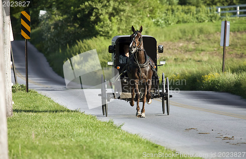 Image of Horse with the carrige running to the village 