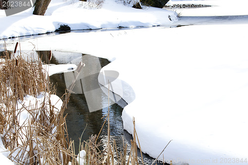 Image of Stream in winter park