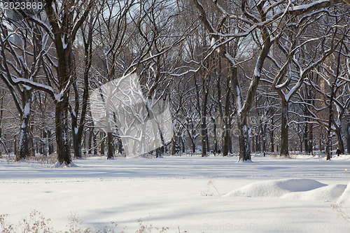 Image of Central Park, New York. Beautiful park in beautiful city. 