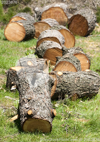 Image of Woodstack