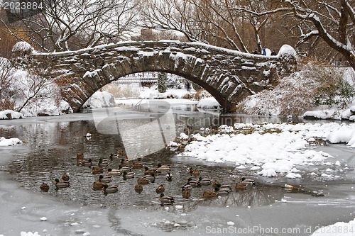 Image of Centtral Park. Gapstow Bridge