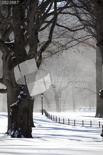 Image of Central Park, New York. Beautiful park in beautiful city. 