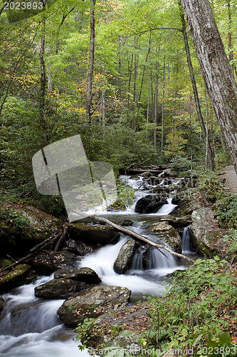 Image of Forest waterfall in Helen Georgia.