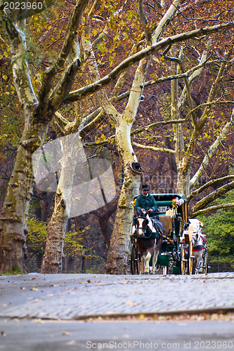 Image of Center Park NY . Beautiful park in beautiful