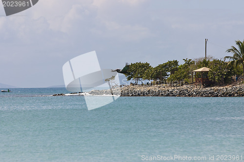 Image of  Caribbean