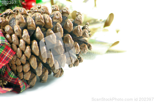 Image of pine cones and bows