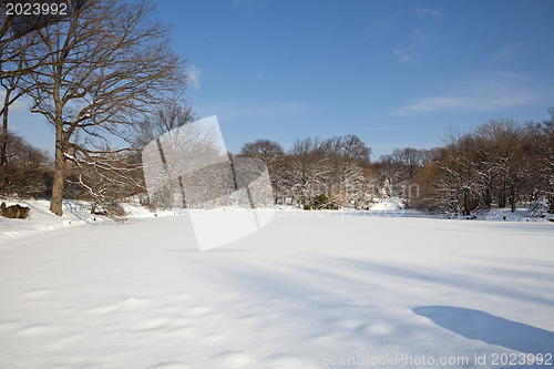 Image of Central Park, New York. Beautiful park in beautiful city. 