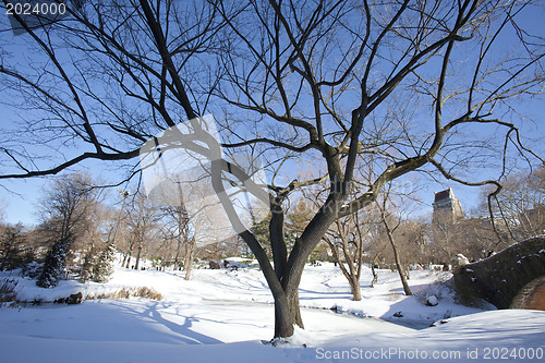 Image of Central Park, New York. Beautiful park in beautiful city. 