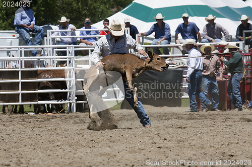 Image of Rodeo