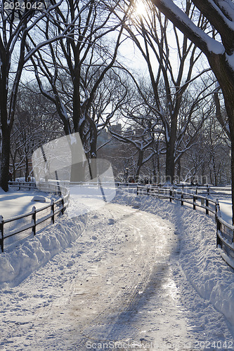 Image of Central Park, New York. Beautiful park in beautiful city. 