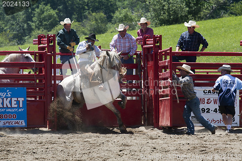 Image of Rodeo