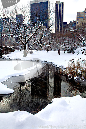 Image of Central Park, New York. Beautiful park in beautiful city. 