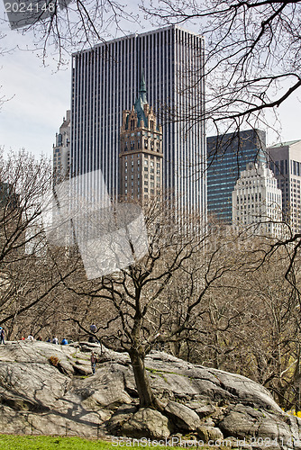 Image of Central Park, New York. 