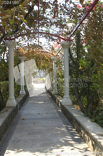 Image of Pathway with columns