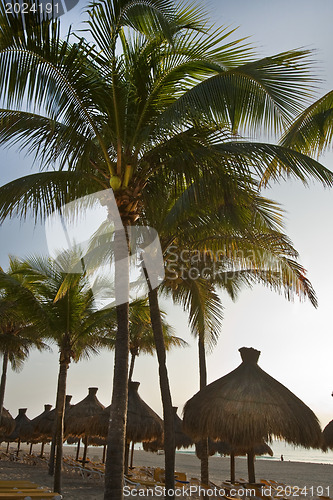 Image of Beautiful Caribbean beach 