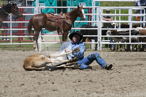 Image of Rodeo