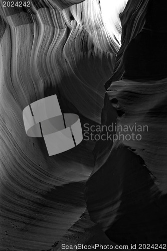 Image of Scenic canyon Antelope