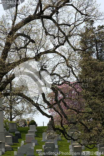 Image of Arlington National Cemetary