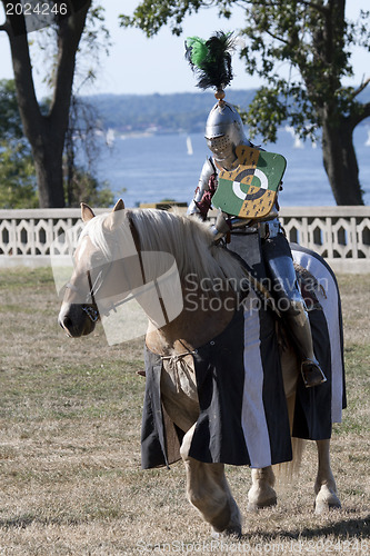 Image of Medieval Knight 