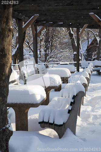 Image of Central Park, New York. Beautiful park in beautiful city. 