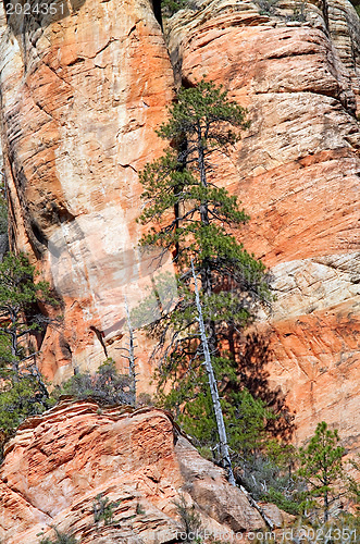 Image of Mountains of Arizona