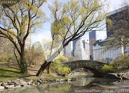 Image of Central Park, New York. 