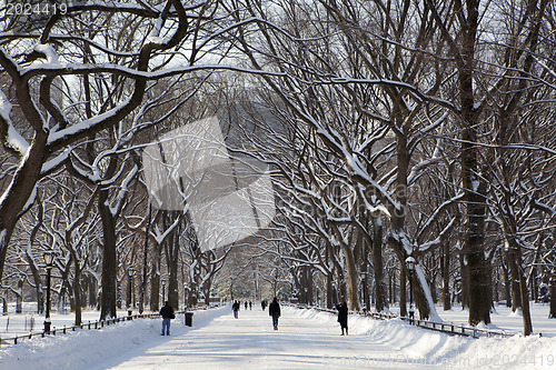 Image of Central Park, New York. Beautiful park in beautiful city. 