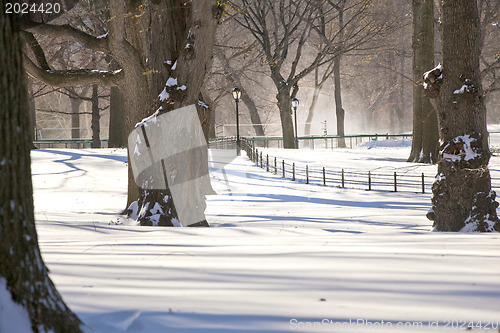 Image of Central Park, New York. Beautiful park in beautiful city. 