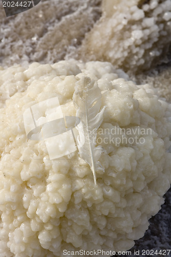 Image of Salt stones on the Dead Sea beach